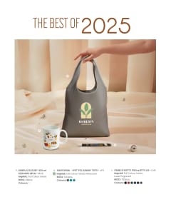Introducing Best Of 2025 flyer
