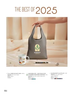 Introducing The Best Of 2025 flyer