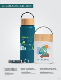 Reborn Plus (DB-152) flyer