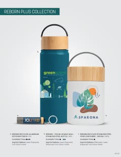 Reborn Plus (DB-152) flyer