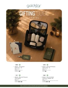 Holiday Gift Giving - Travel flyer