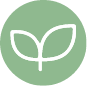 Eco Icon